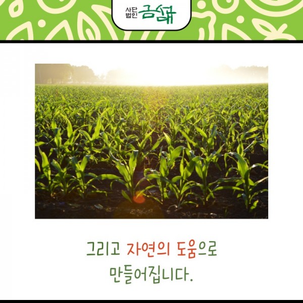 KakaoTalk_20240430_120022389_17.jpg