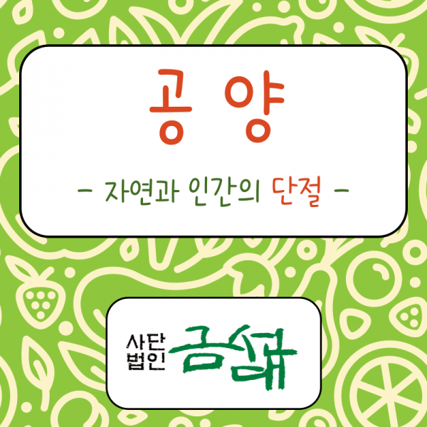 KakaoTalk_20240706_131911746.png